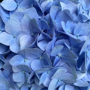 Meet your Posher, Cassie